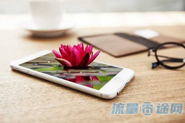 vivo双卡双待手机如何选择流量（vivo双卡双待手机如何选择流量套餐）2